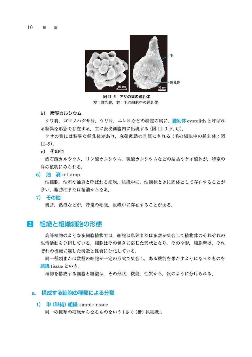 薬用植物学（改訂第7版）