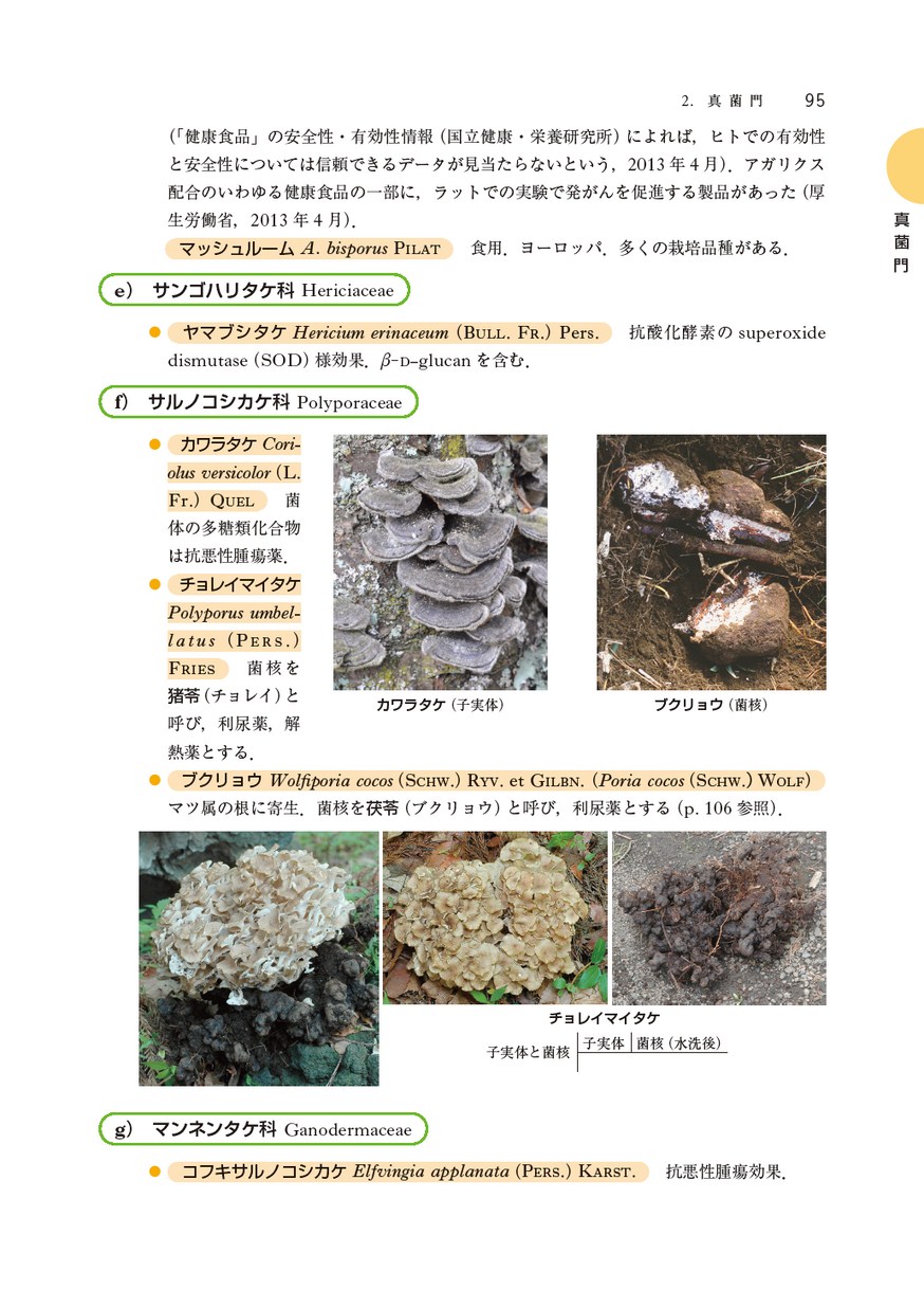 薬用植物学（改訂第7版）